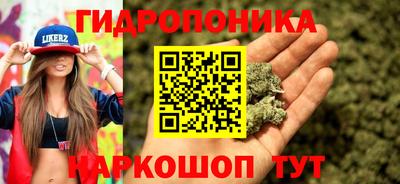 PSILOCYBIN Обнинск